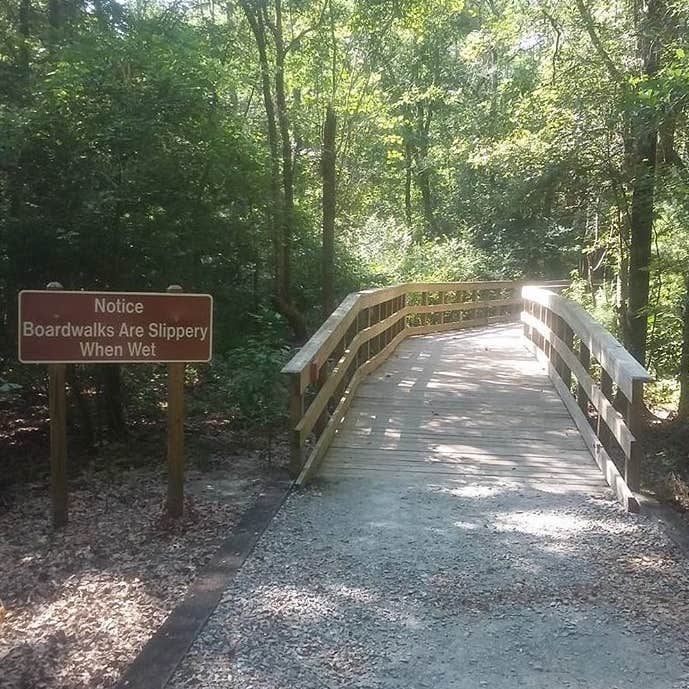 Reed Bingham State Park Camping The Dyrt