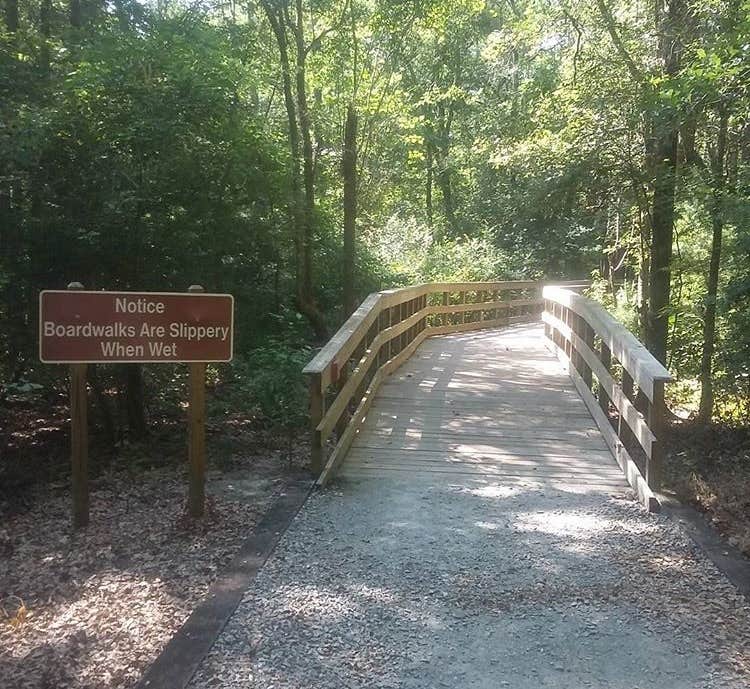 Camper submitted image from Reed Bingham State Park Campground - 2