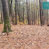 Review photo of Pearl Hill State Park Campground by Jean C., November 17, 2020