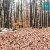 Review photo of Pearl Hill State Park Campground by Jean C., November 17, 2020