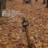 Review photo of Pearl Hill State Park Campground by Jean C., November 17, 2020