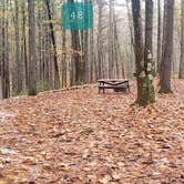 Review photo of Pearl Hill State Park Campground by Jean C., November 17, 2020