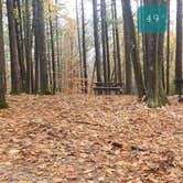 Review photo of Pearl Hill State Park Campground by Jean C., November 17, 2020