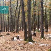 Review photo of Pearl Hill State Park Campground by Jean C., November 17, 2020