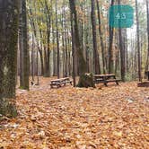 Review photo of Pearl Hill State Park Campground by Jean C., November 17, 2020