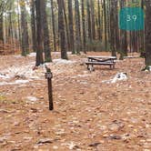 Review photo of Pearl Hill State Park Campground by Jean C., November 17, 2020