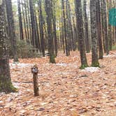 Review photo of Pearl Hill State Park Campground by Jean C., November 17, 2020