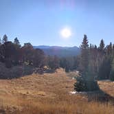 Review photo of Mueller State Park Campground by Joshua A., November 17, 2020