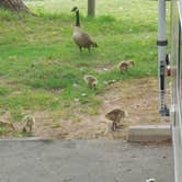 Review photo of Maumelle Park by Myra P., May 24, 2018