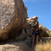 Review photo of Alabama Hills Recreation Area by Tommy B., November 17, 2020