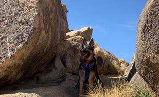 Tommy B.'s photo of camping with pets at Alabama Hills Recreation Area near Lone Pine, CA