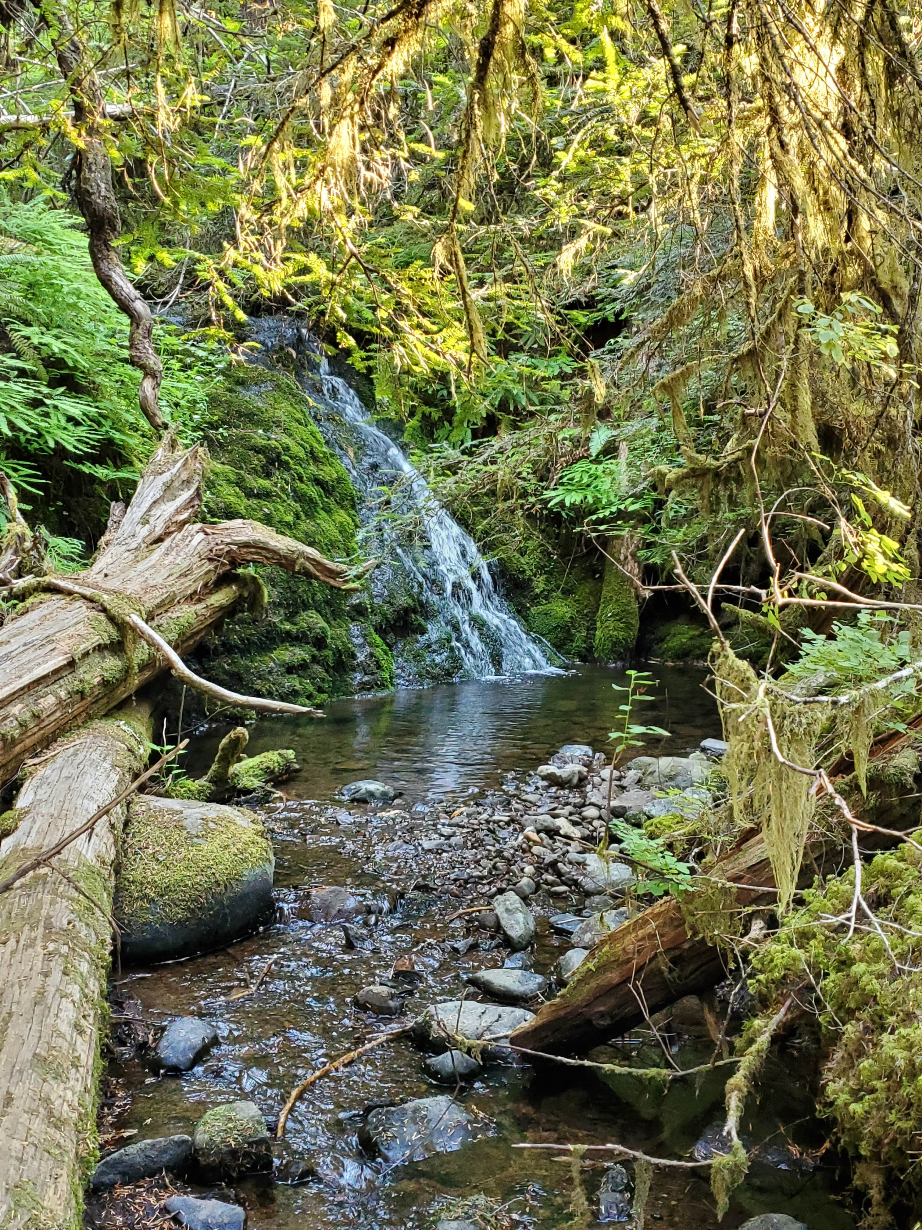 View All