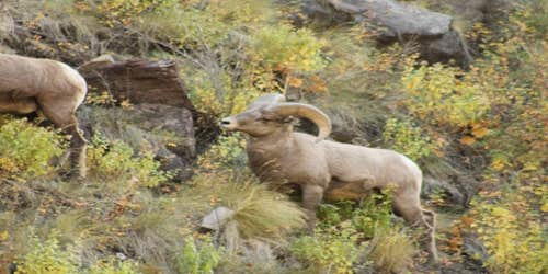 Camper submitted image from Diamond Rock Campground