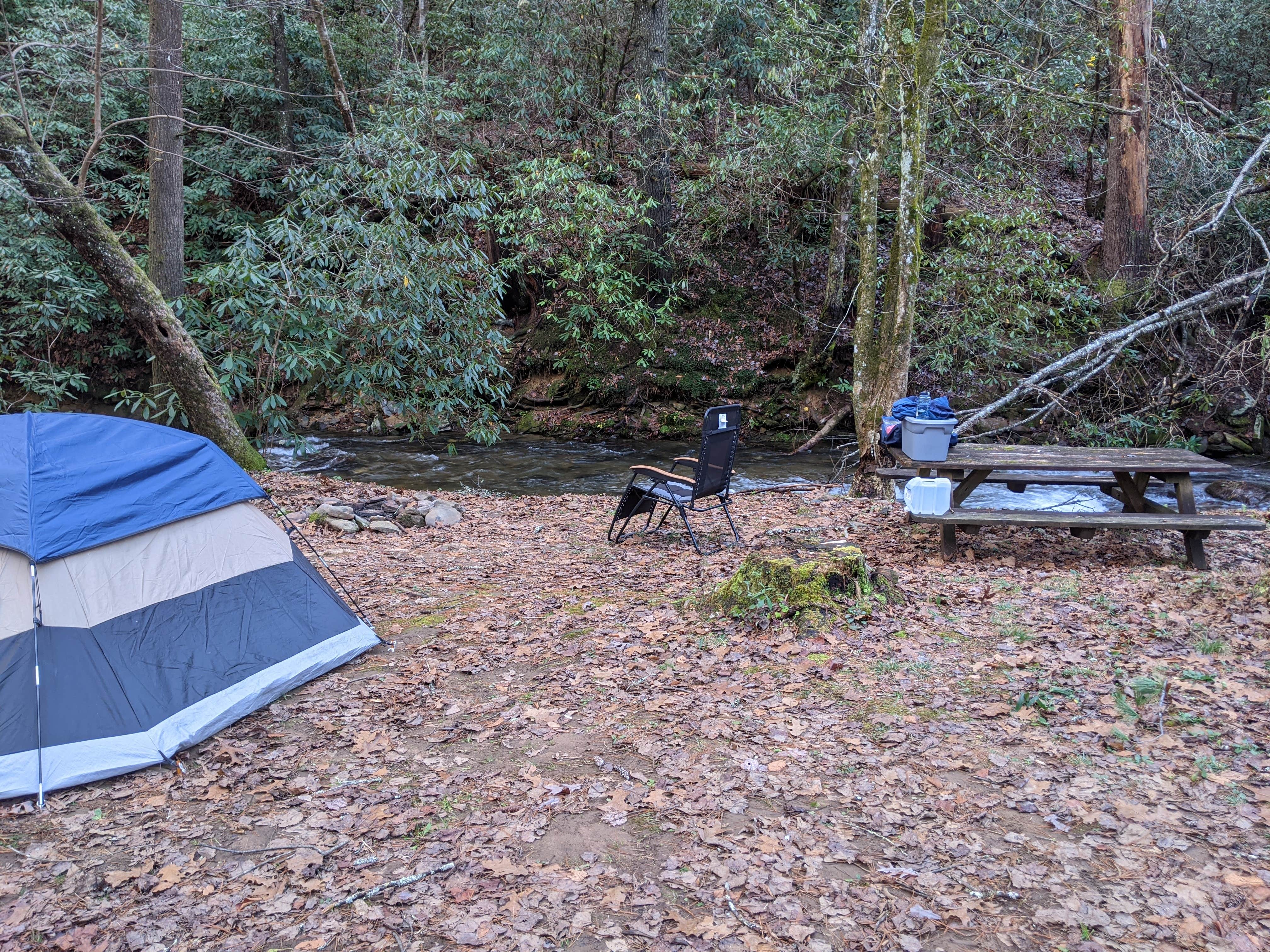 Emily S.'s photo at Enota Mountain Retreat near Hiawassee, GA