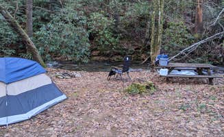 Emily S.'s photo at Enota Mountain Retreat near Hiawassee, GA