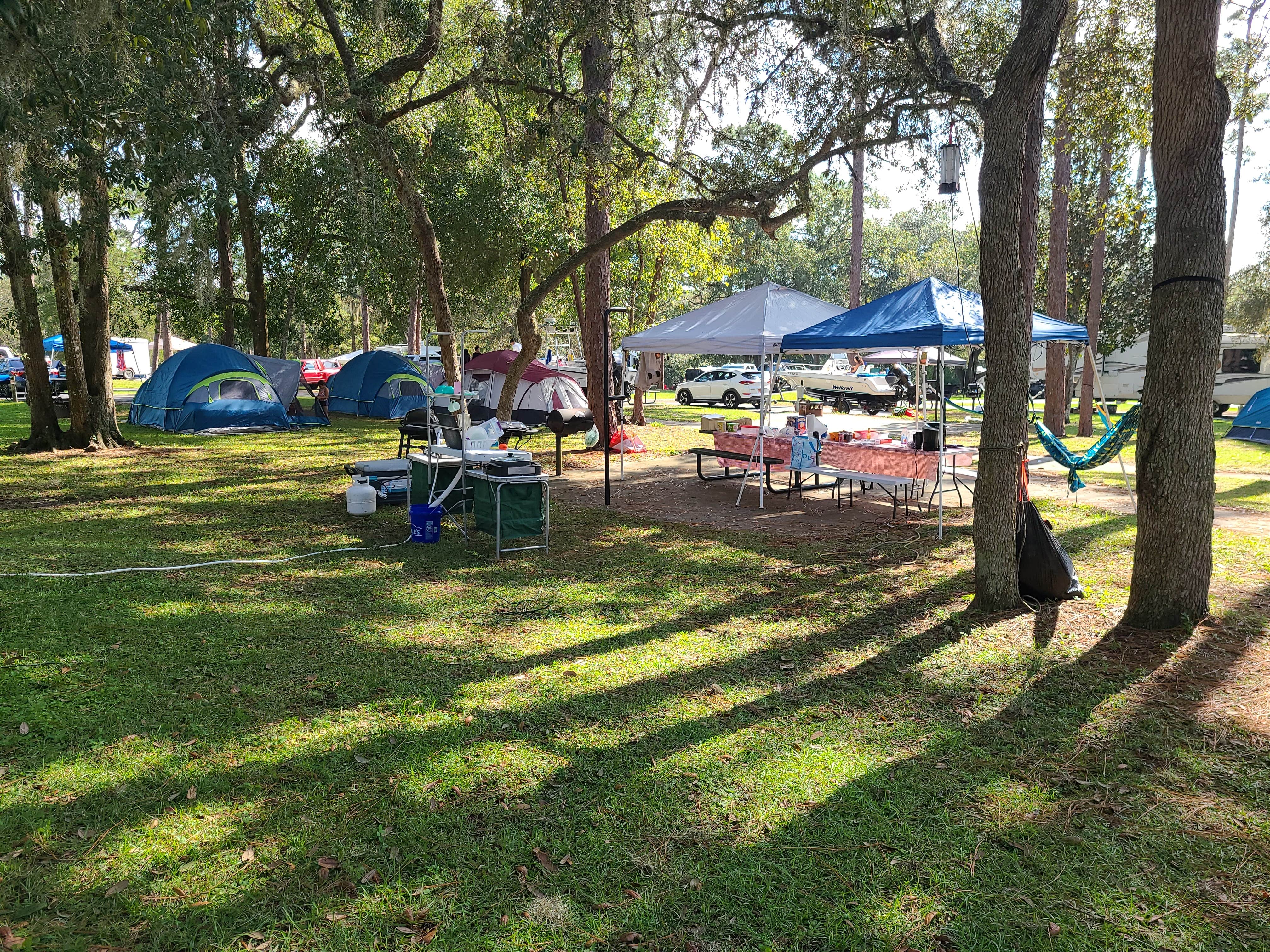 Diana M.'s photo at Salt Springs Recreation Area near San Mateo, FL