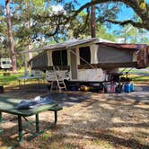 Review photo of Salt Springs Recreation Area by Diana M., November 17, 2020