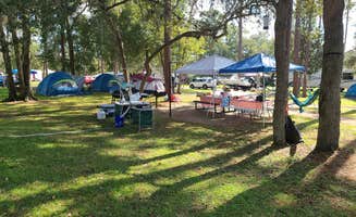 Diana M.'s photo at Salt Springs Recreation Area near Ocala National Forest
