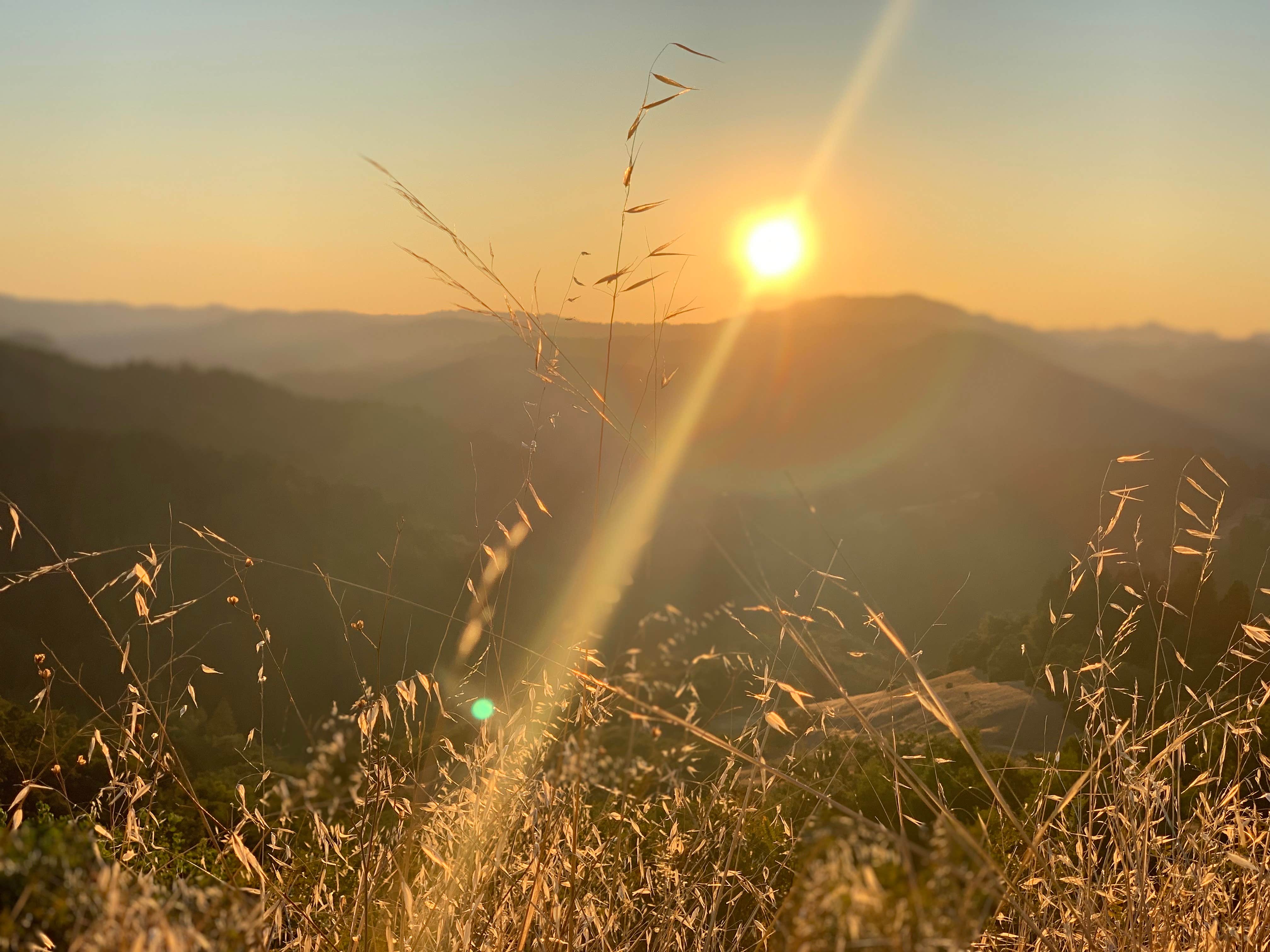 Camping near Dawn Ranch: Hotel – Restaurant – Spa: Bullfrog Pond Campground - TEMPORARILY CLOSED, Guerneville, California