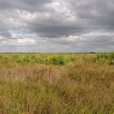 Review photo of Kissimmee Prairie Preserve State Park Campground by Richard P., November 18, 2020