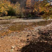 Review photo of Ole Bull State Park Campground by Kelly C., November 18, 2020