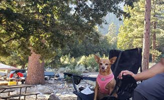 Stacy C.'s photo at Crystal Lake Rec Area Campground near Llano, CA