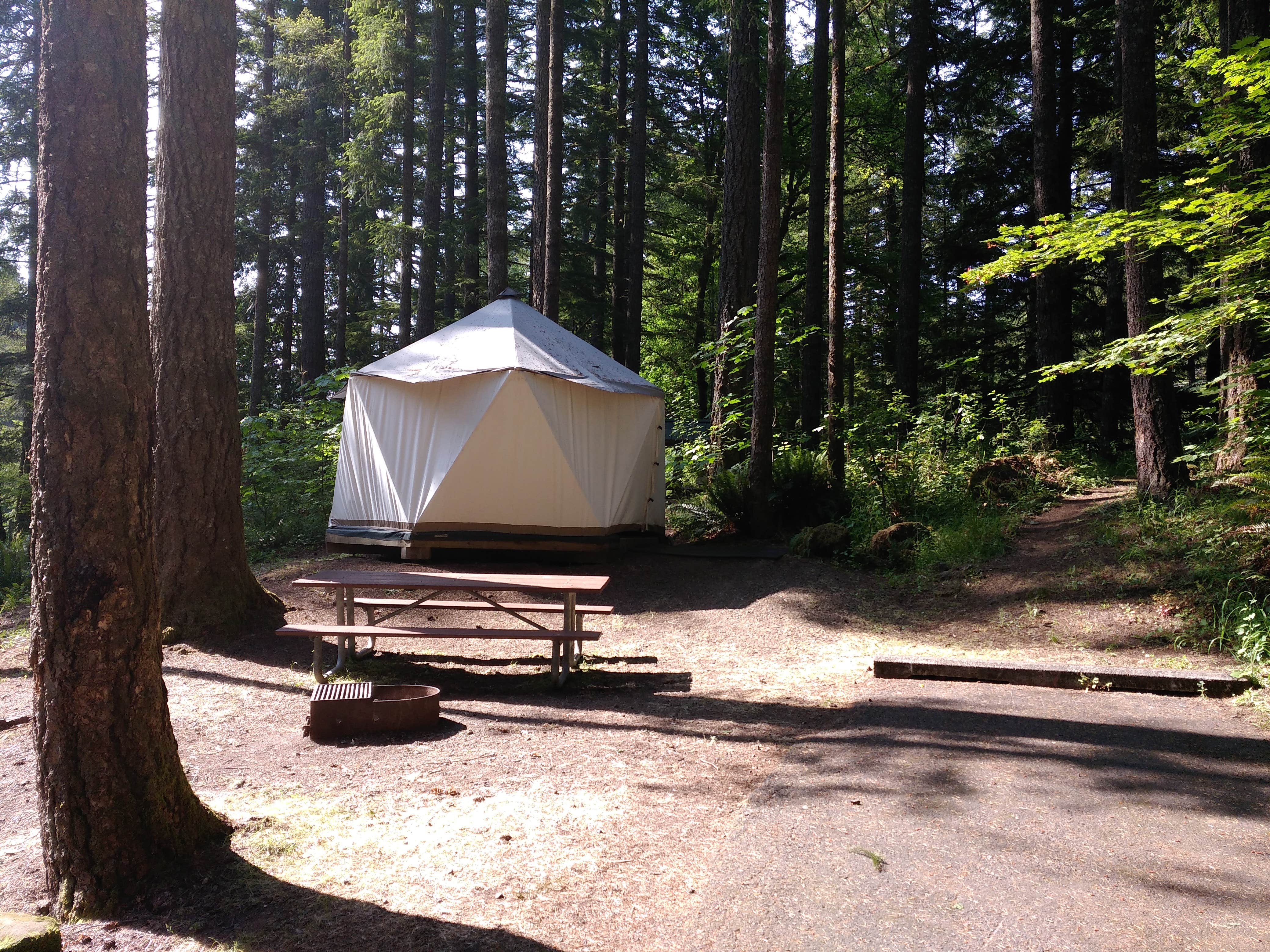 Hahns R.'s photo at Promontory Park near Molalla, OR