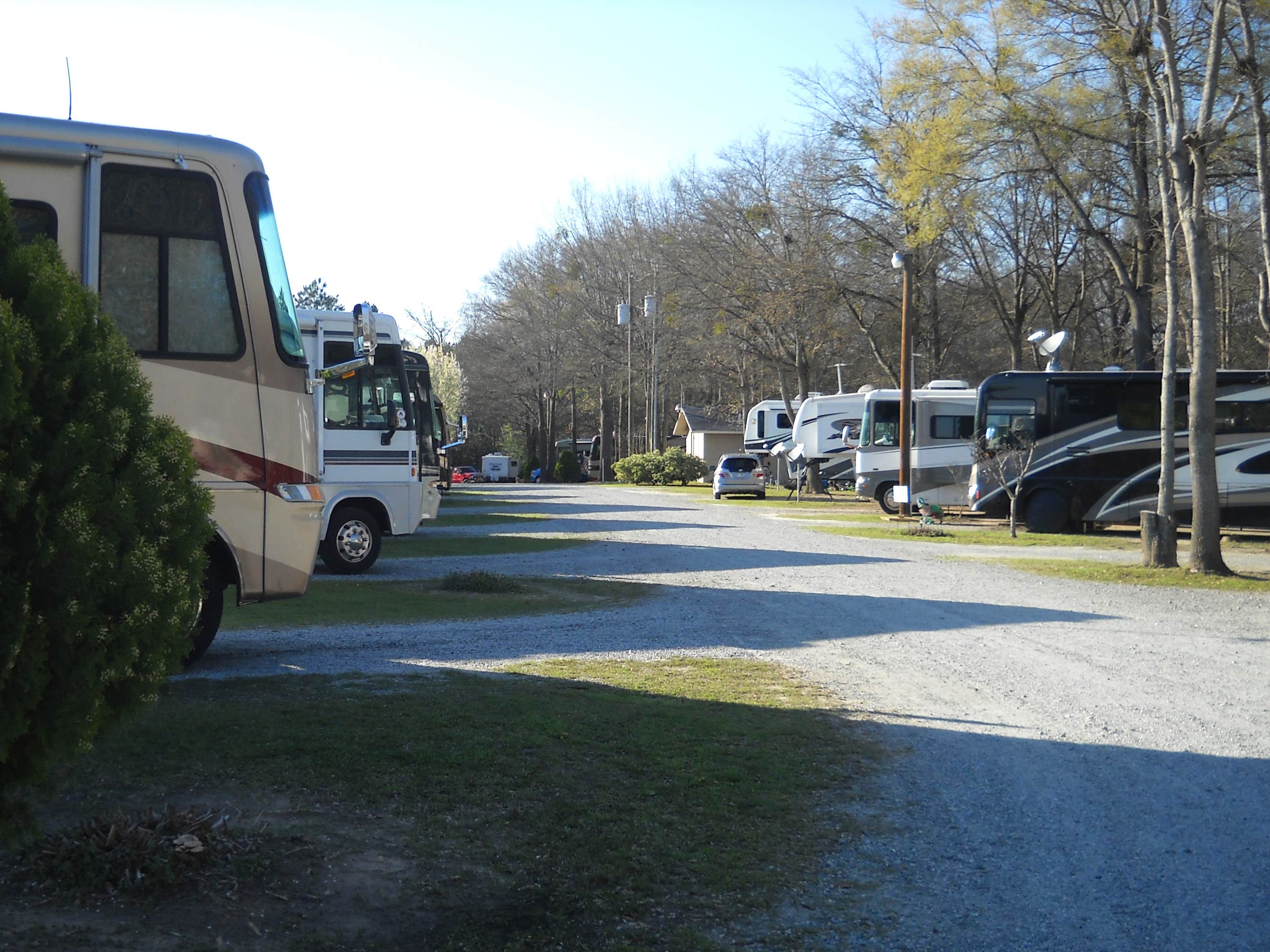 Twin's photo of rv camping at Twin Oaks RV Park near Perry, GA