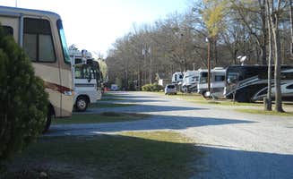 Twin's photo of rv camping at Twin Oaks RV Park near Byron, GA