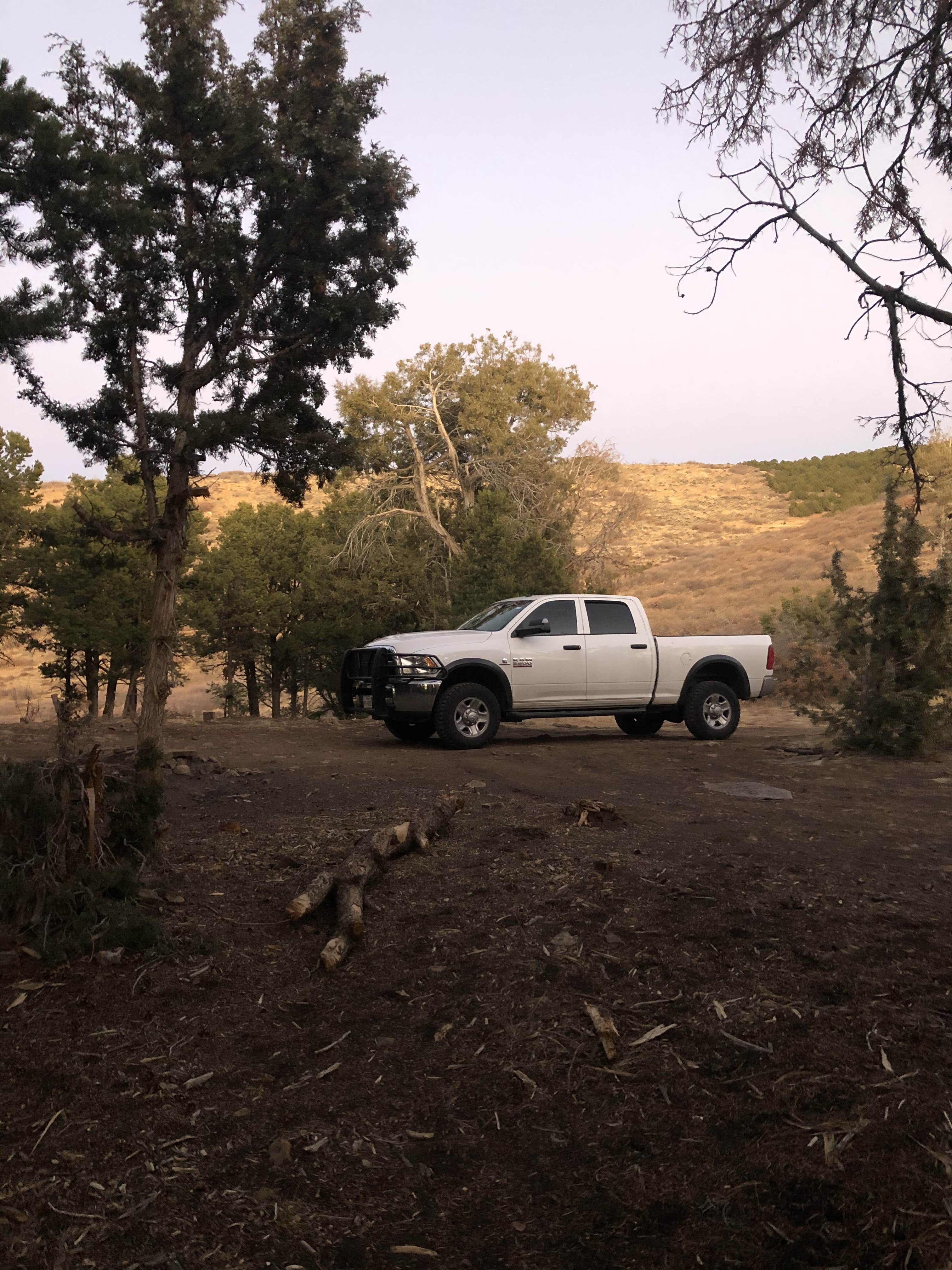 Camper-submitted photo at Black Canyon Dispersed Camping in Colorado