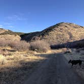 Review photo of Black Canyon Dispersed Camping by Karen J., November 18, 2020