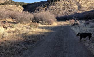Karen J.'s photo of camping with pets at Black Canyon Dispersed Camping near Curecanti National Recreation Area