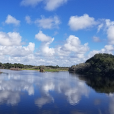 Review photo of Old Prairie Campground — Myakka River State Park by Dale G., November 19, 2020