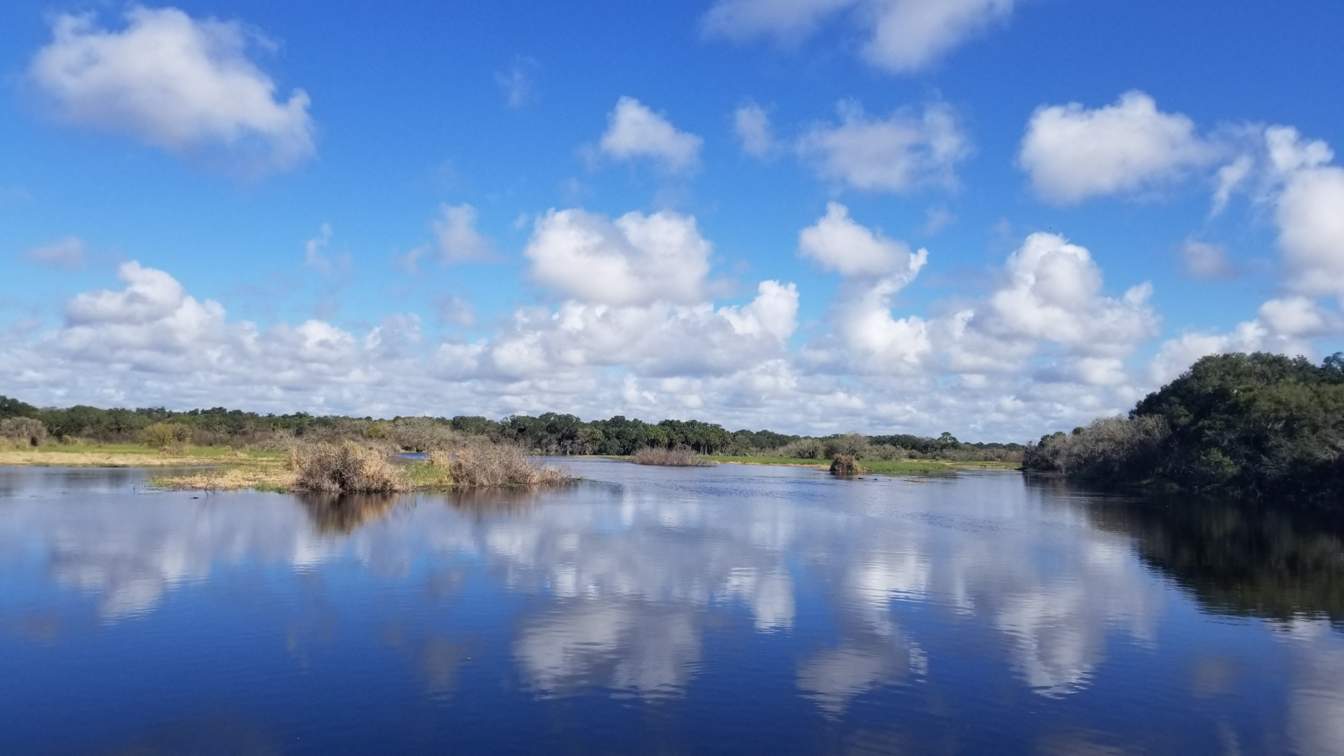 Camper submitted image from Old Prairie Campground — Myakka River State Park - 2