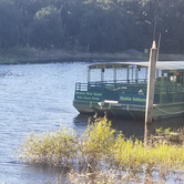 Review photo of Old Prairie Campground — Myakka River State Park by Dale G., November 19, 2020