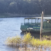 Review photo of Palmetto Ridge Campground — Myakka River State Park by Dale G., November 19, 2020