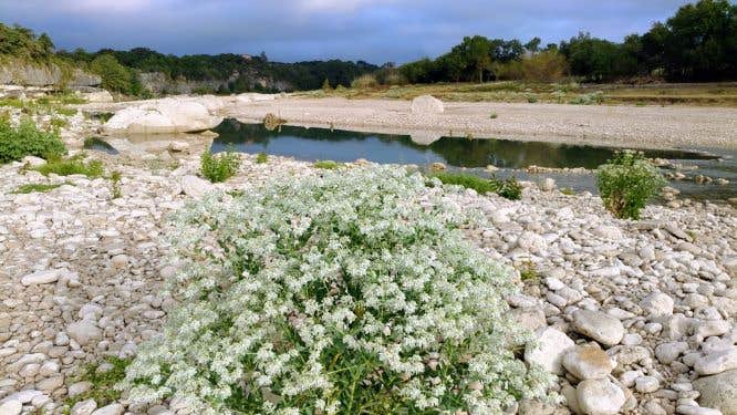 Boulderdash Cabin & RV Park