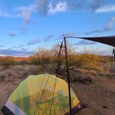 Review photo of Bueno Aires National Wildlife Refuge by Wanderer , November 19, 2020