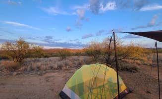 Wanderer's photo at Bueno Aires National Wildlife Refuge near Sásabe, AZ