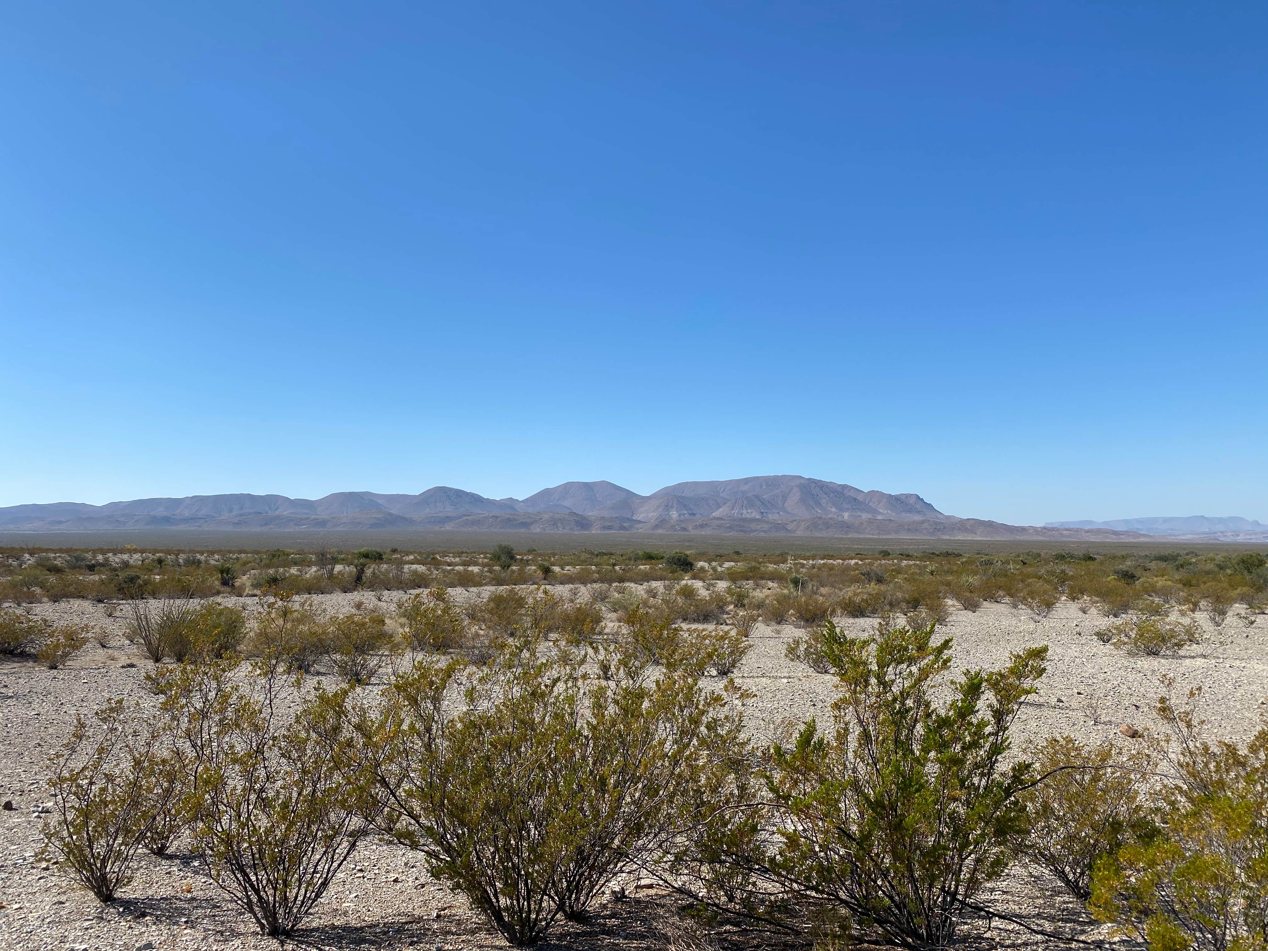 Camping near Marathon Motel & RV Park: Nine Point Draw — Big Bend National Park, Big Bend National Park, Texas