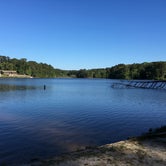 Review photo of Percy Quin State Park Campground by Jason R., November 19, 2020