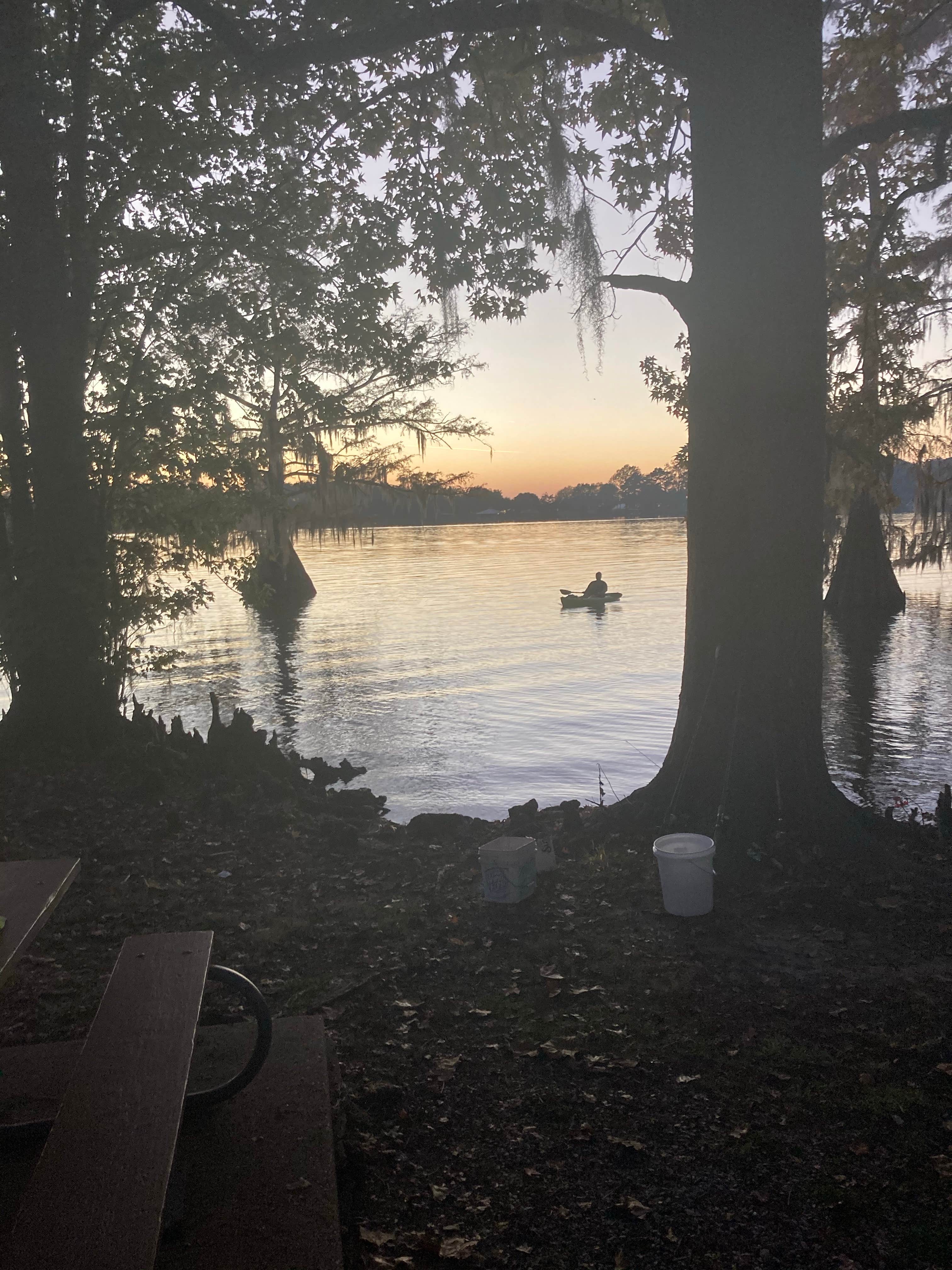 Camper-submitted photo at Lake Bruin State Park Campground near Sicily Island, LA