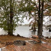 Review photo of Lake Bruin State Park Campground by Jason R., November 3, 2020