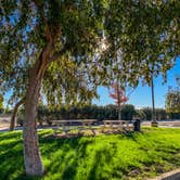 Review photo of Almond Tree Oasis RV Park by Meg R., November 20, 2020