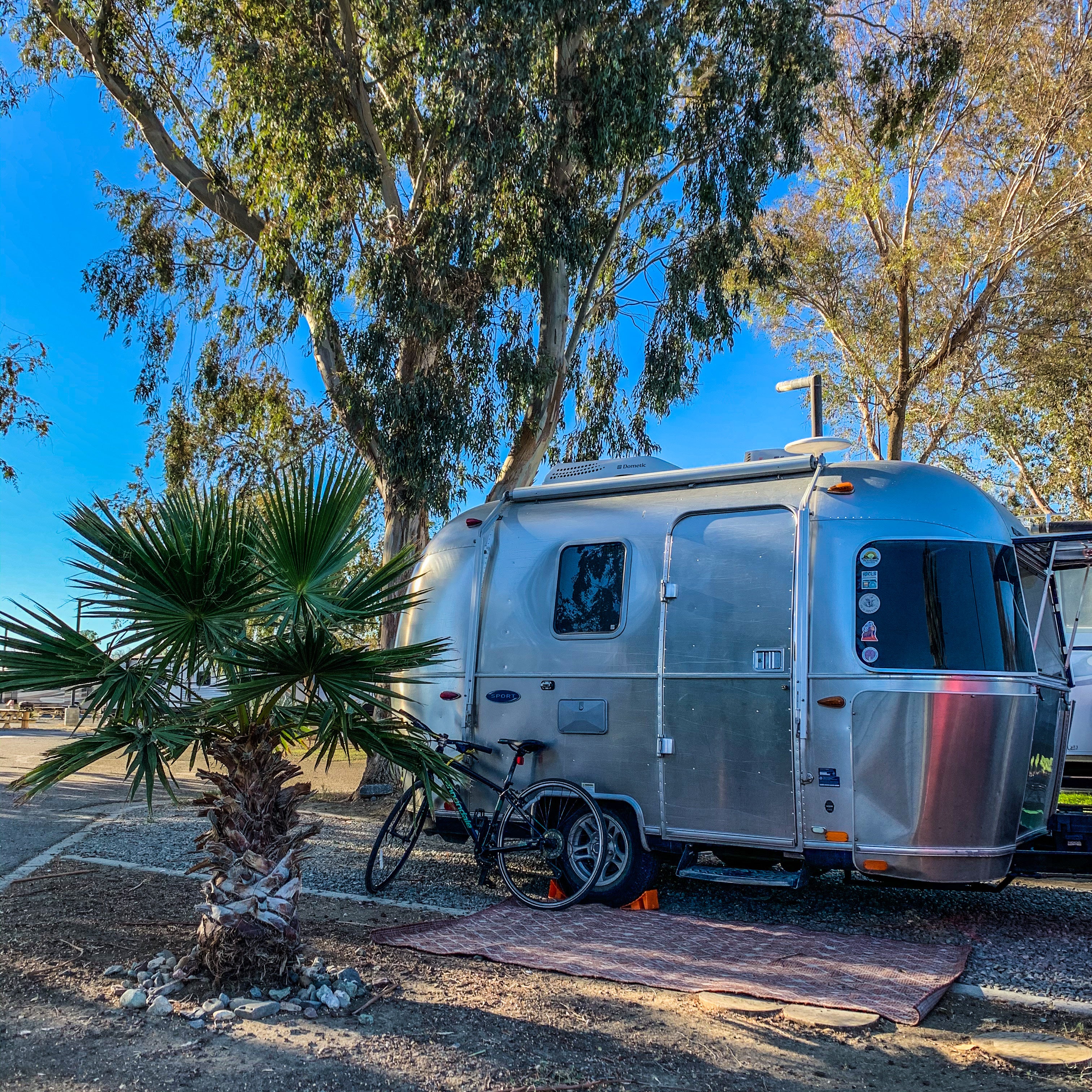 Camper submitted image from Almond Tree Oasis RV Park - 5