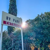 Review photo of Almond Tree Oasis RV Park by Meg R., November 20, 2020