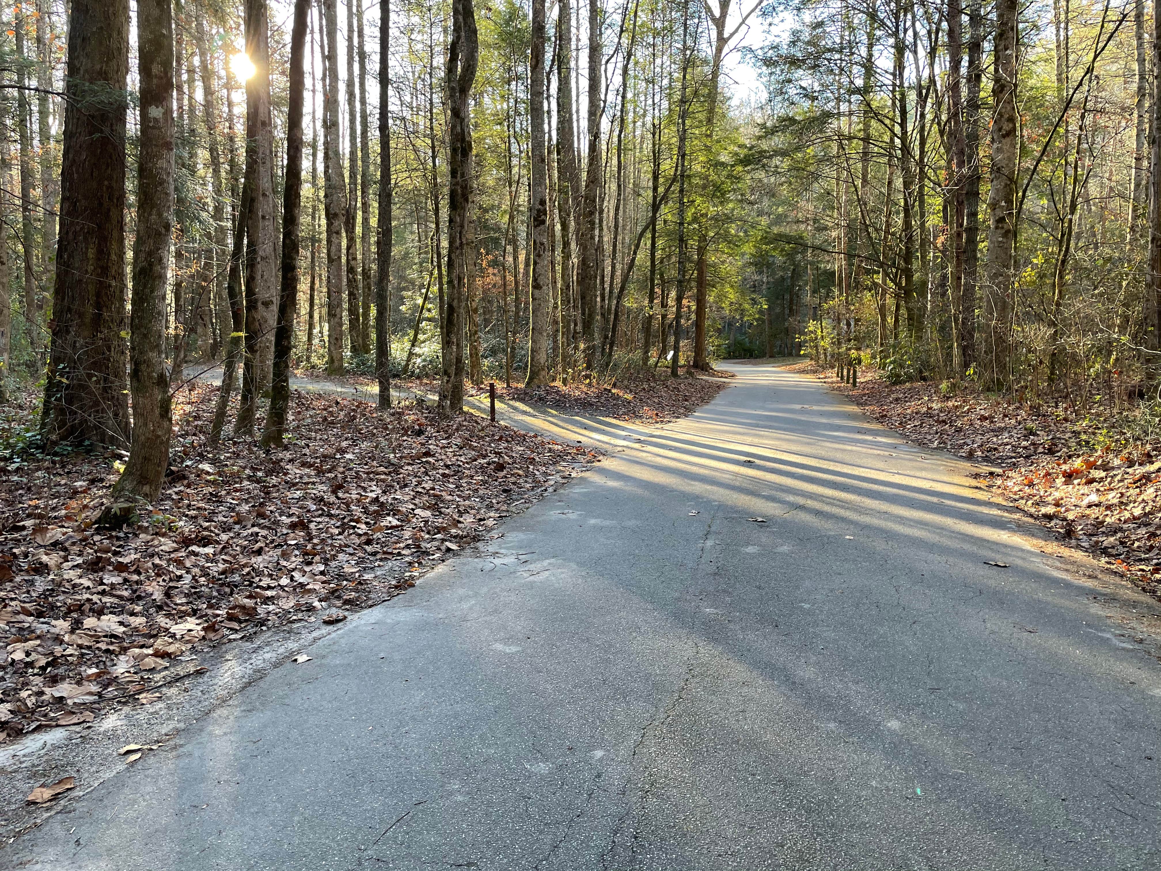 Camper-submitted photo at Tallulah River Campground — Chattahoochee Oconee National Forest near Rabun Gap, GA