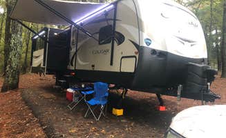 Larry's photo at J.P. Coleman State Park Campground near Savannah, TN