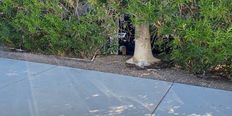 Camper submitted image from Desert View RV Resort