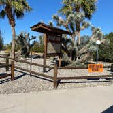 Review photo of Desert View RV Resort by Brittney  C., November 20, 2020